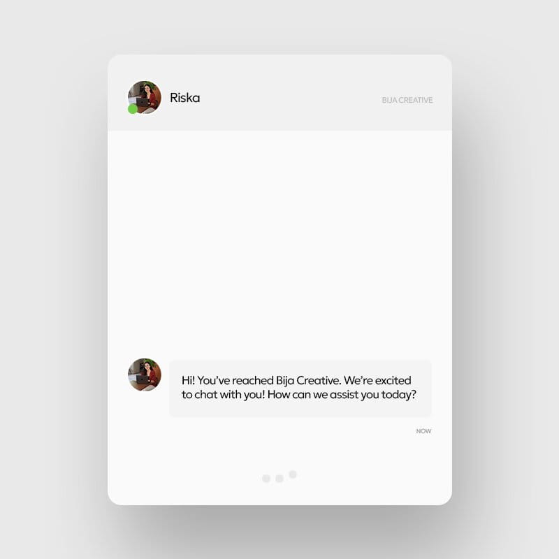 Expert support chat interface